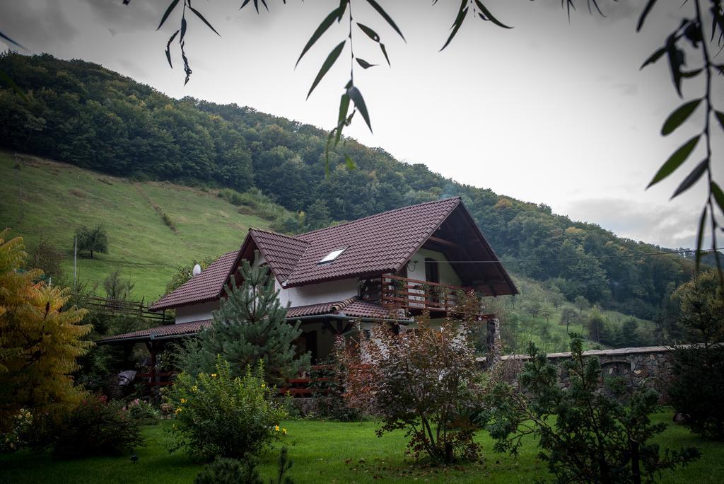 Casa De Piatra Villa Strungari ภายนอก รูปภาพ