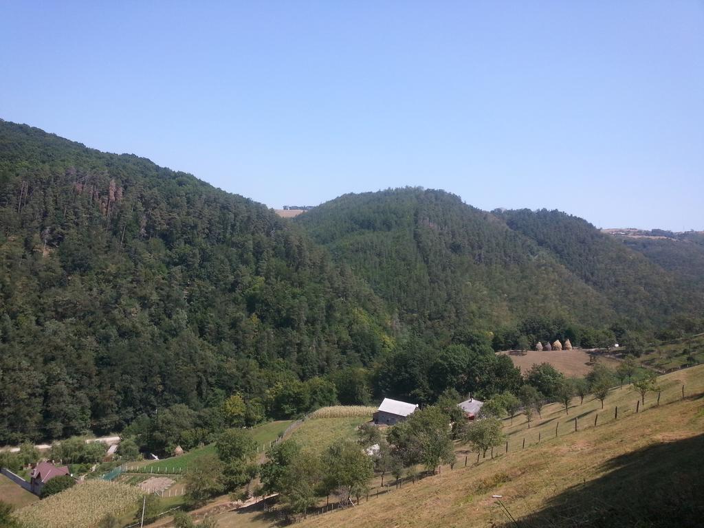 Casa De Piatra Villa Strungari ภายนอก รูปภาพ